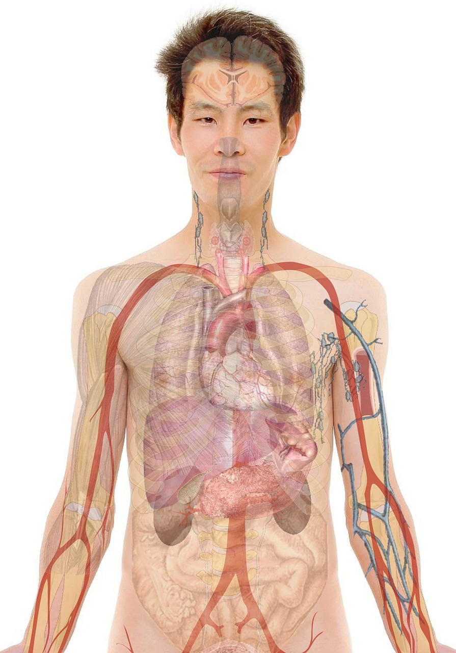 Quality Assurance in Hyperbaric Medicine