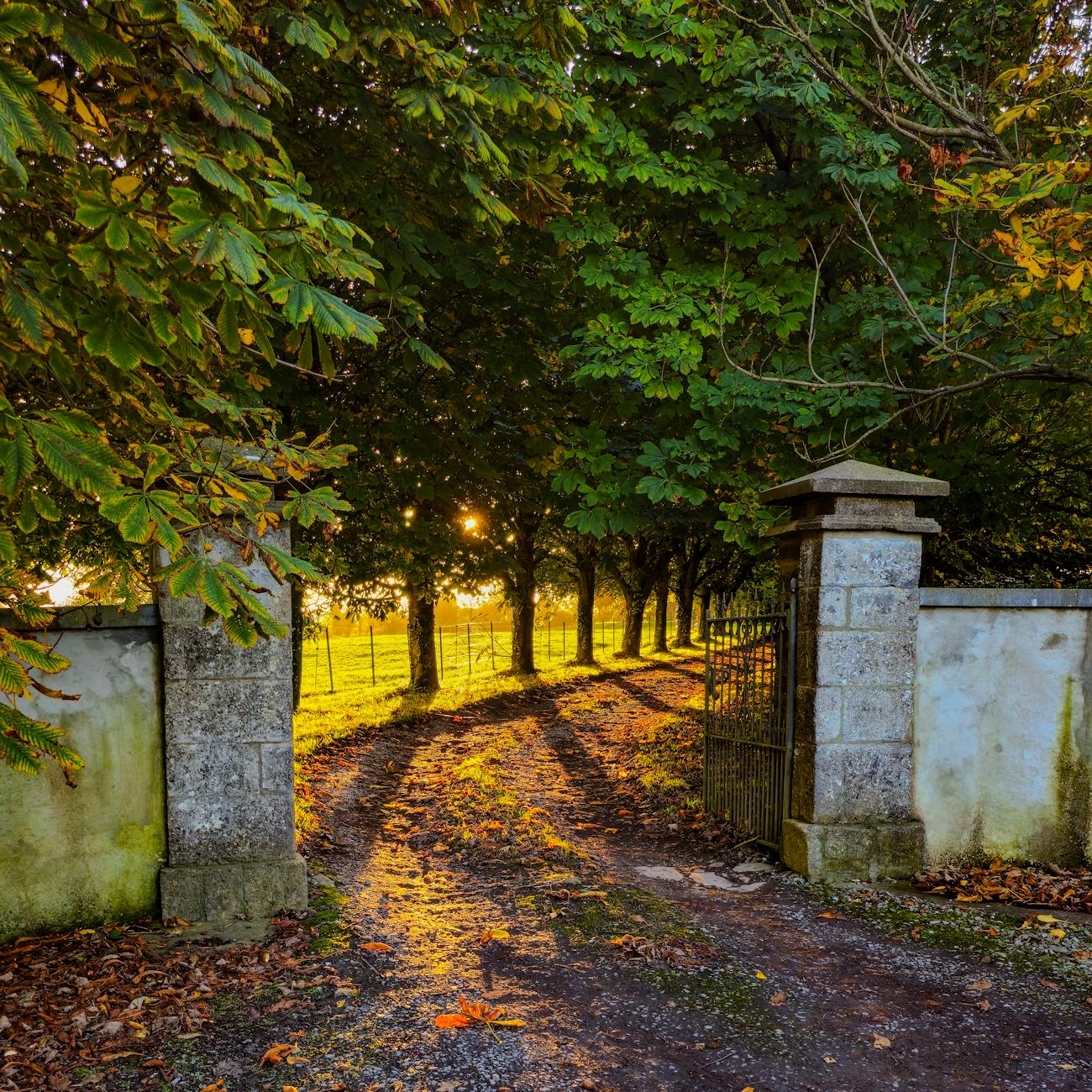 Boundaries in Psychological Assessments
