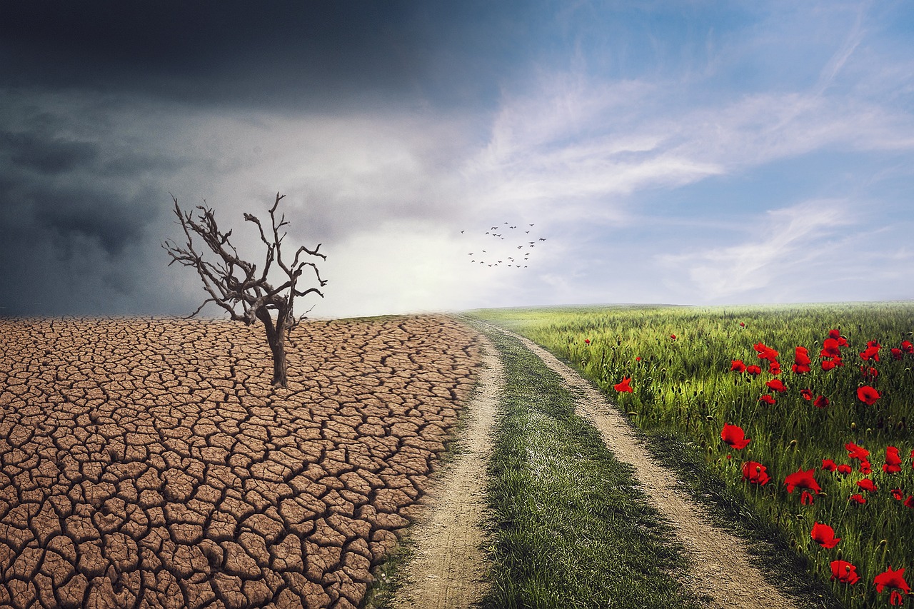 Climate Change Adaptation Strategies