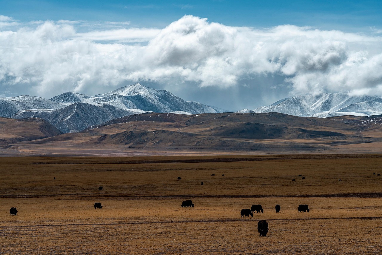 Sacred Lands and Sacred Waters