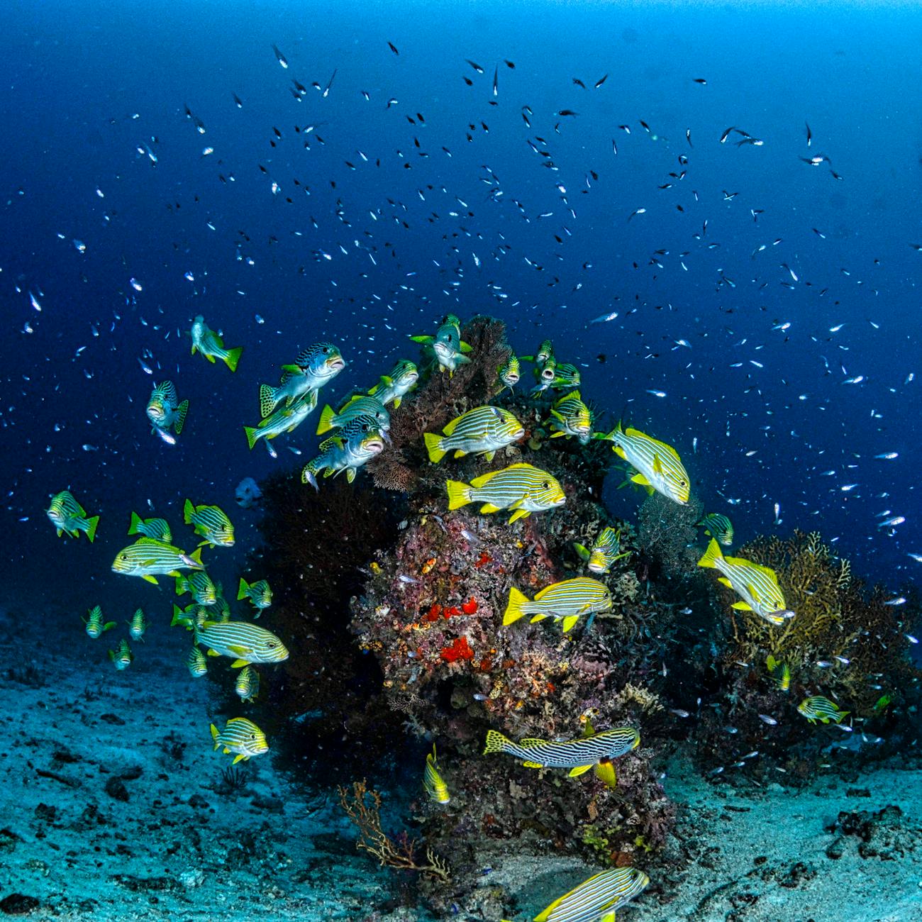 Introduction to Underwater Cultural Heritage