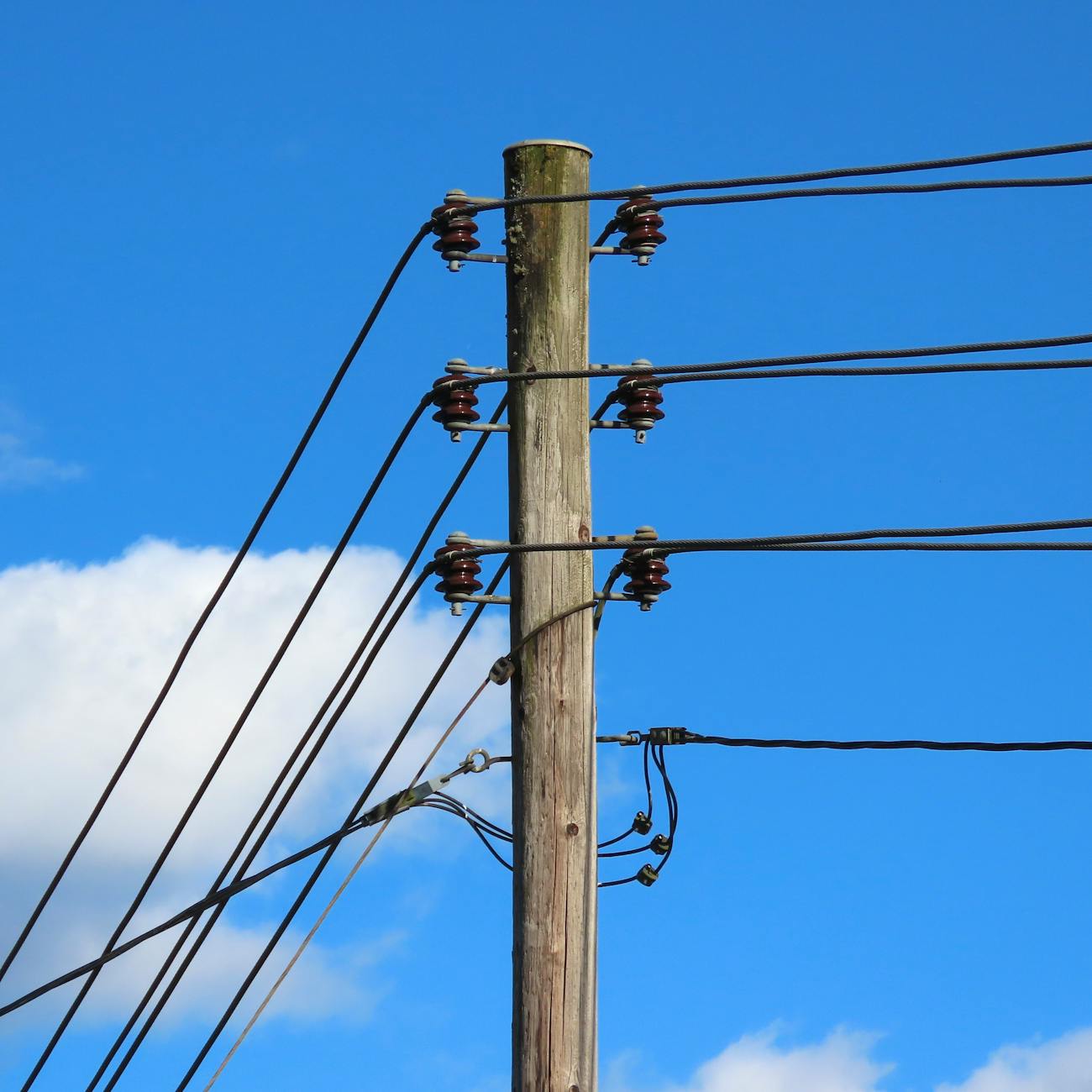 Infrastructure Resilience and Sustainability