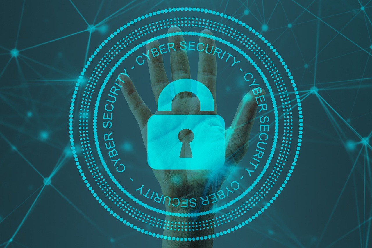 Security and Privacy in Tokenization