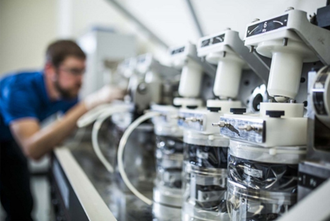 Robotic Process Automation in Payroll Processing
