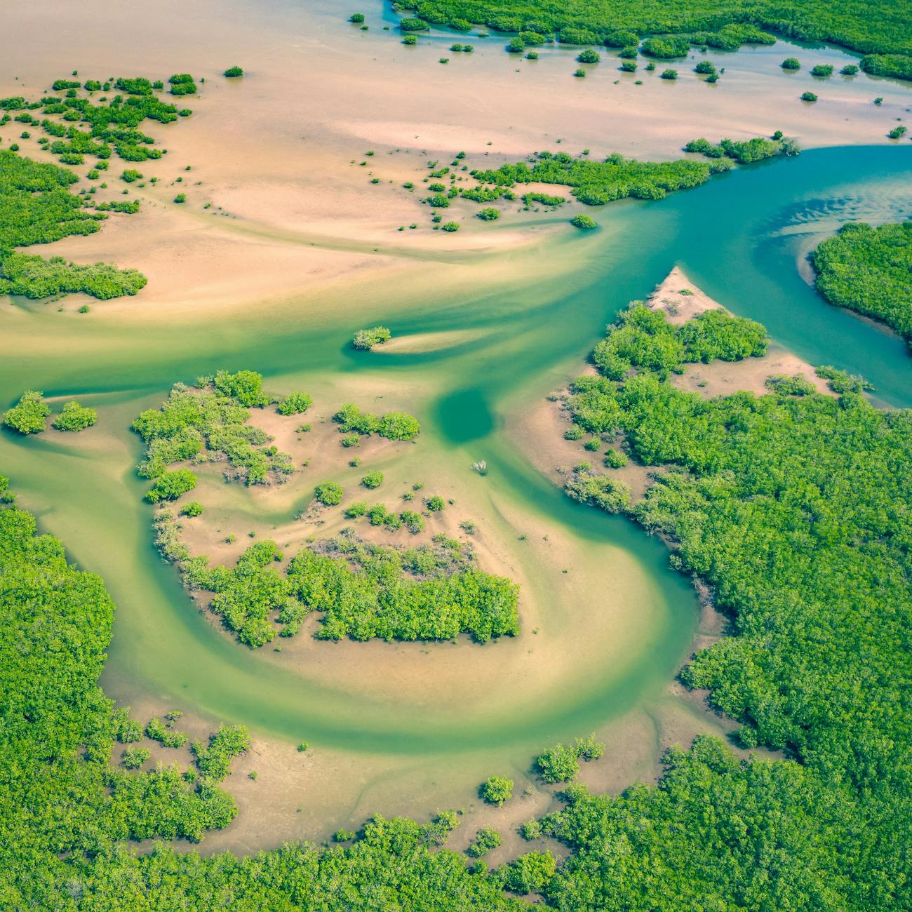 Sustainable Tourism Practices