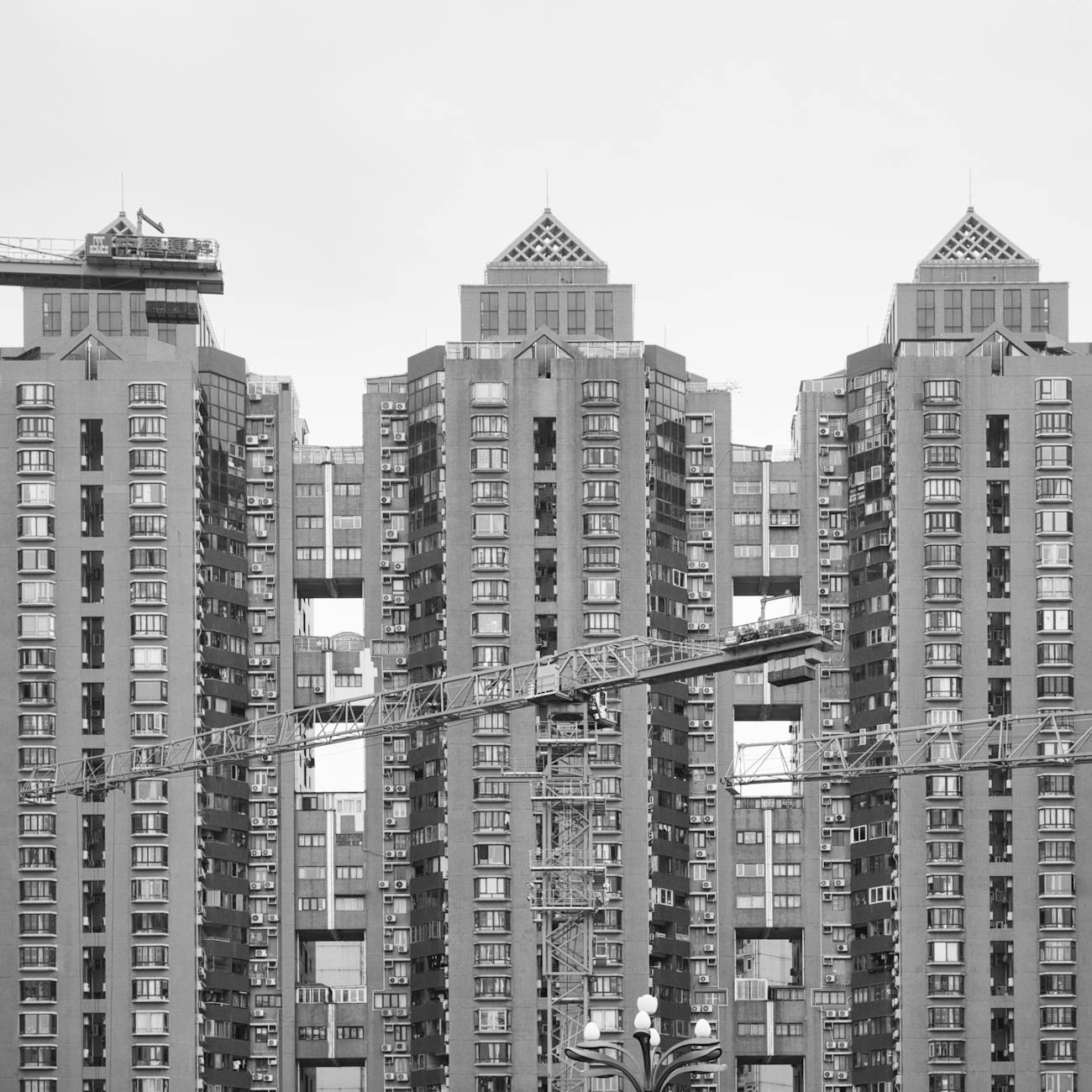 Construction Litigation