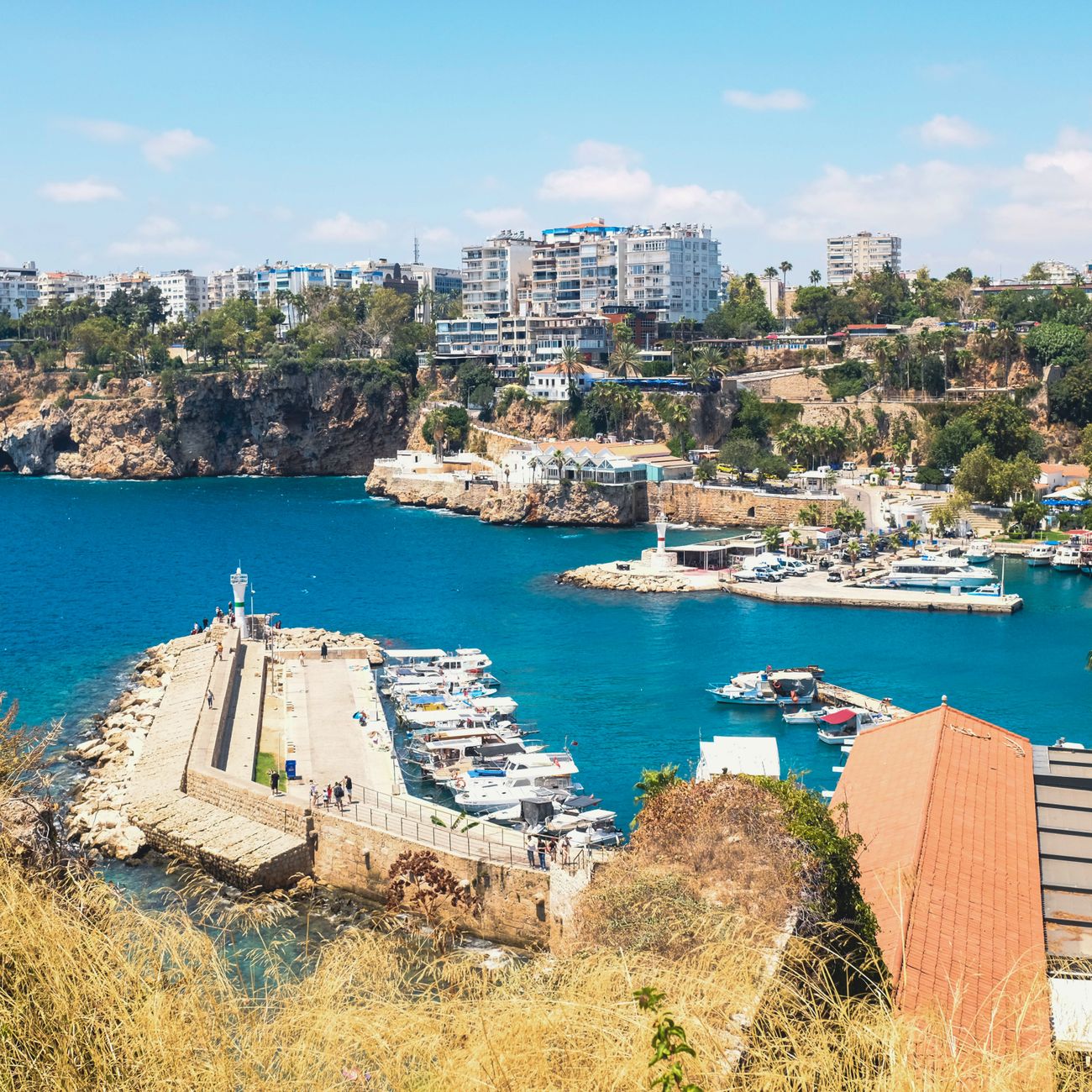 Tax Havens and Corporate Structures