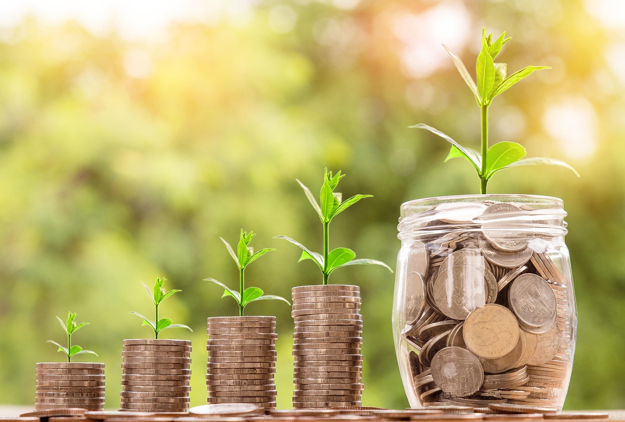 Ethical Investment and Impact Investing