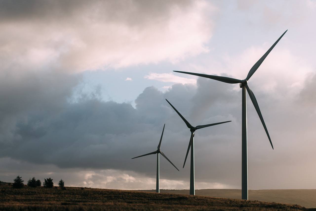 Energy Economics and Transition