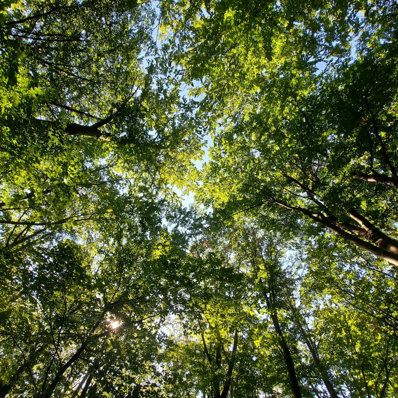 Total Rewards Sustainability and Evaluation