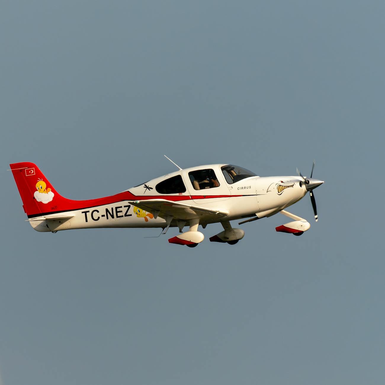 Materials and Structures for Electric Aircraft
