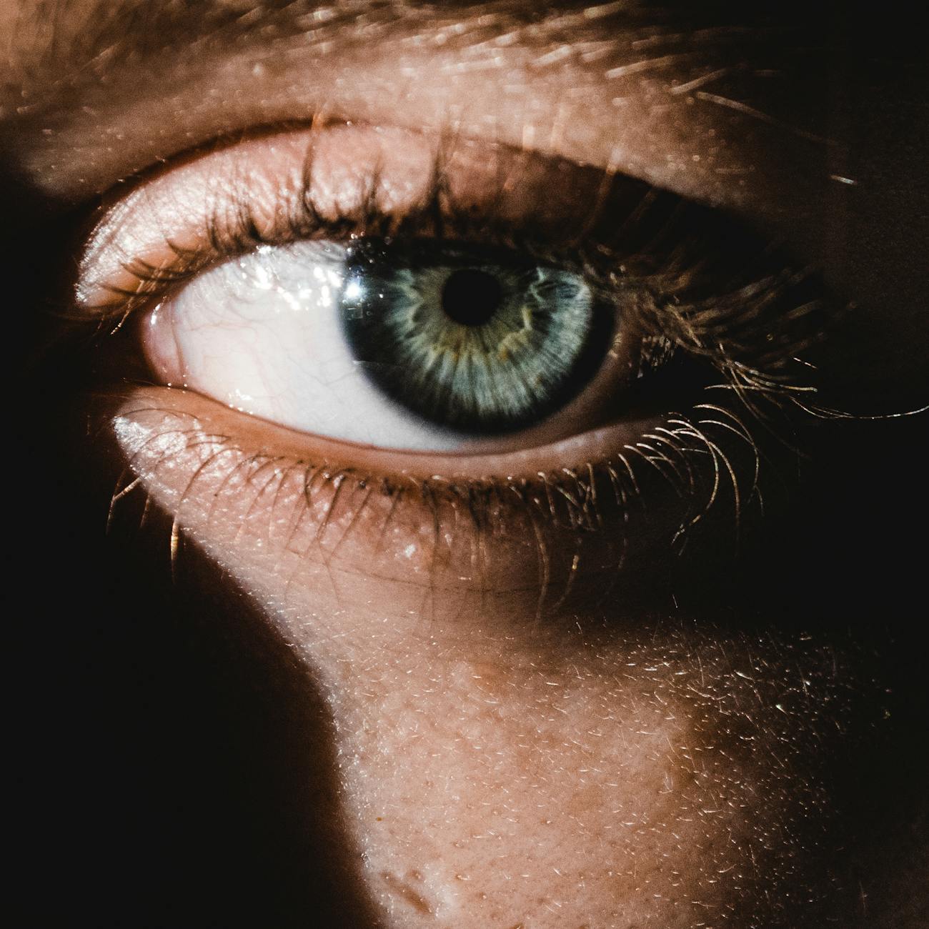 Machine Learning Applications in Ophthalmology