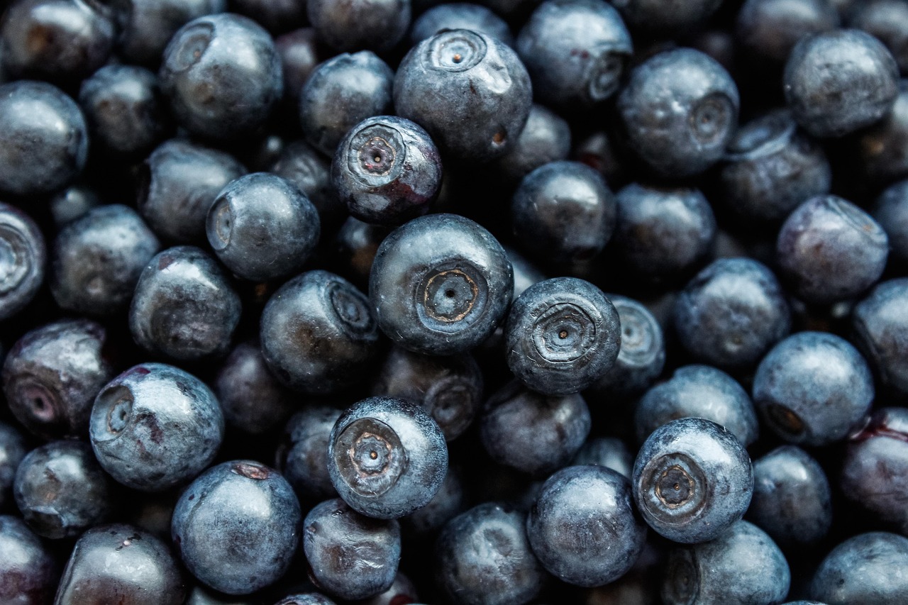 Nutrition and Sleep Quality