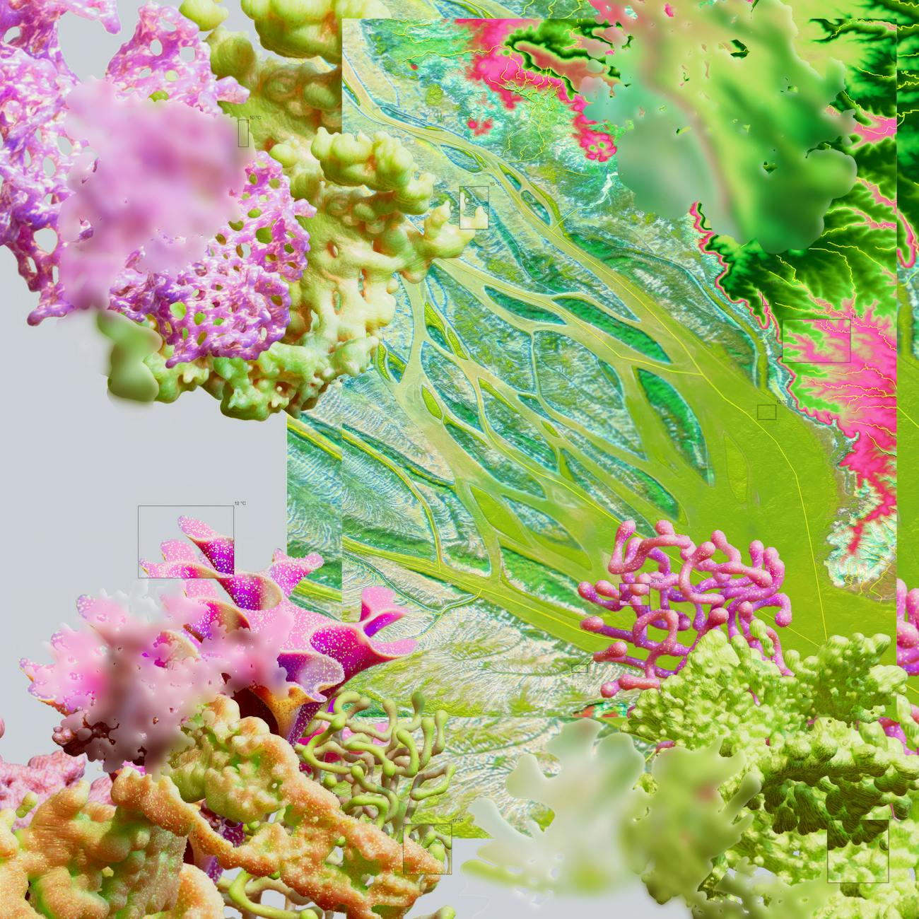 Molecular Pathology