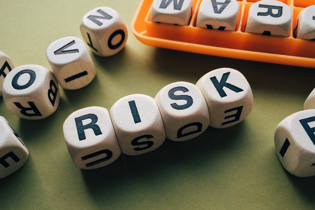 Risk Management in AI