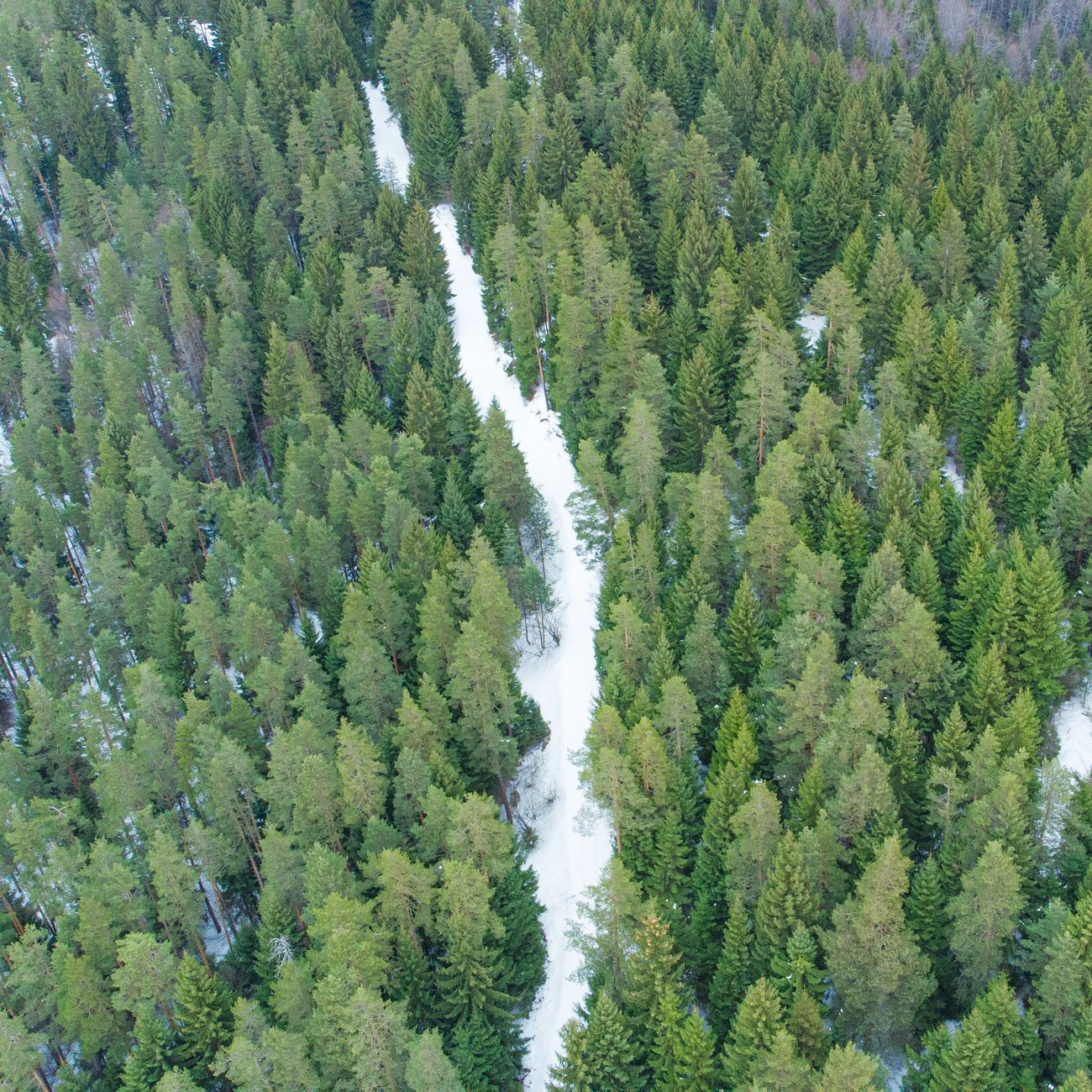 Data Collection and Management for Climate Change Monitoring