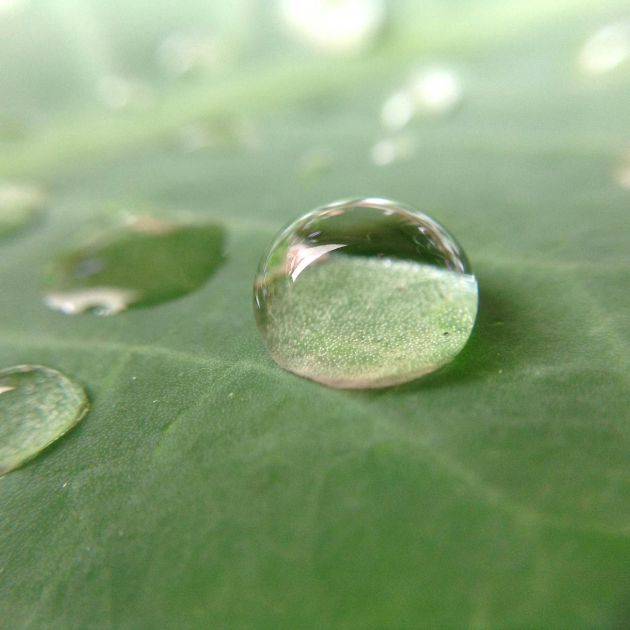 Water Conservation Strategies