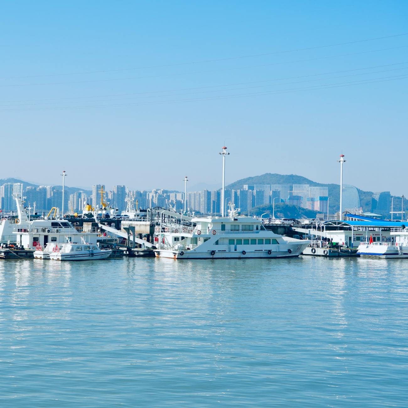 Customs Compliance and Enforcement
