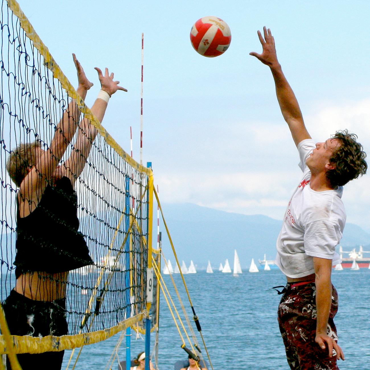 Physical Activity and Dementia