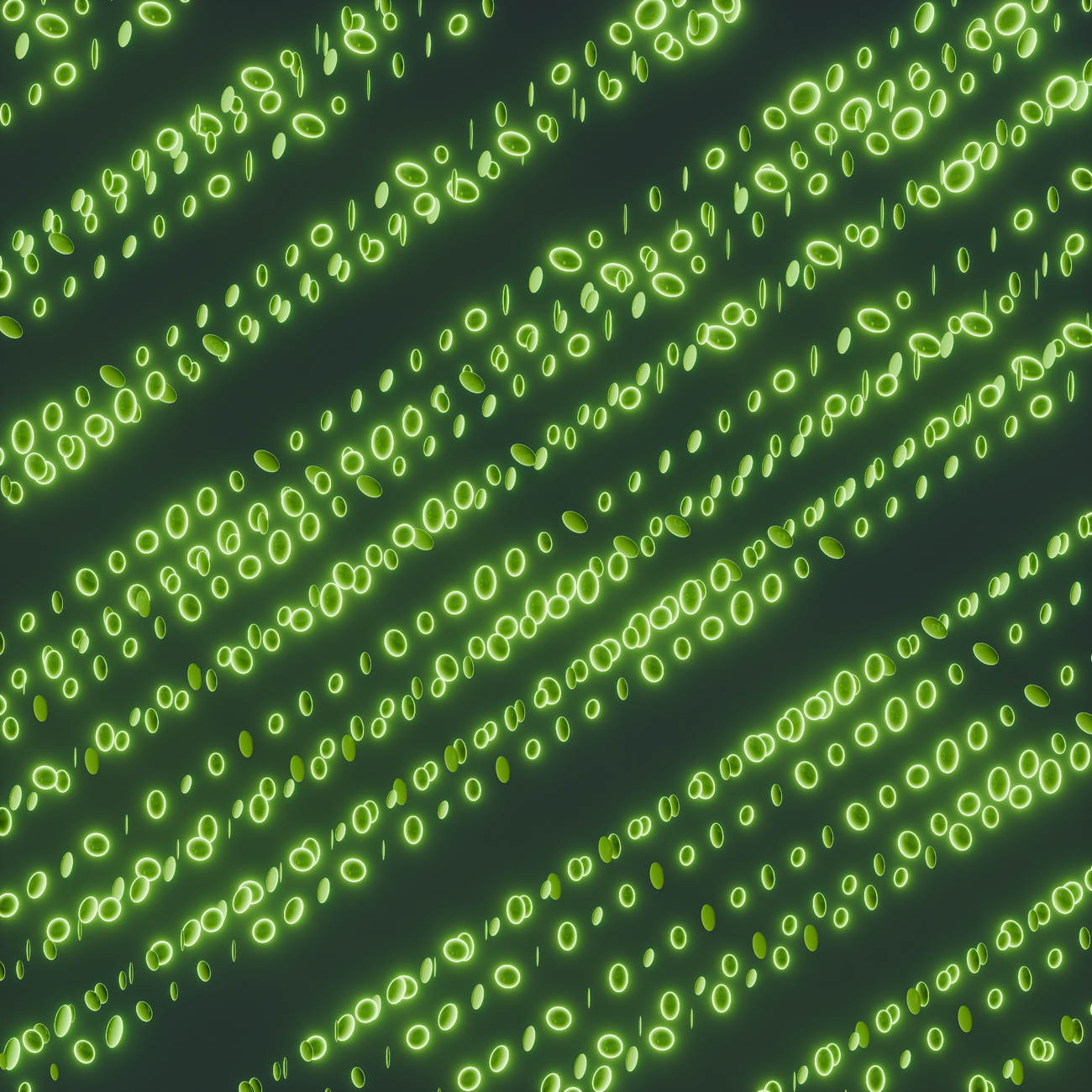 Pattern Recognition and Anomaly Detection in Financial Statements