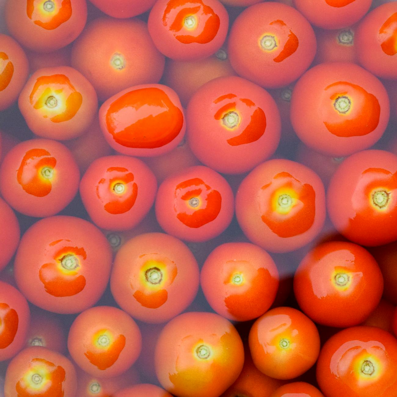 Optimization and Decision Making in Food Processing Engineering