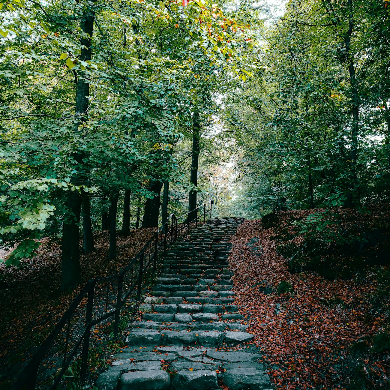 Introduction to Care Pathway Management