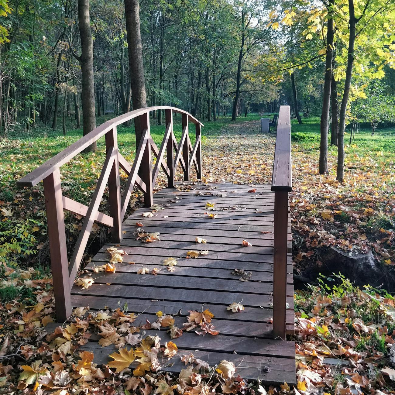 Rehabilitation and Intervention Strategies