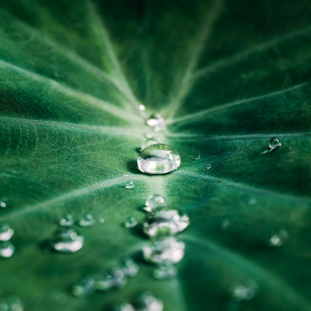 Stormwater Management