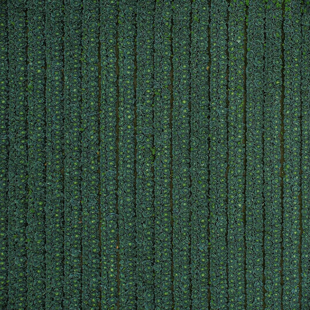 Composting Techniques