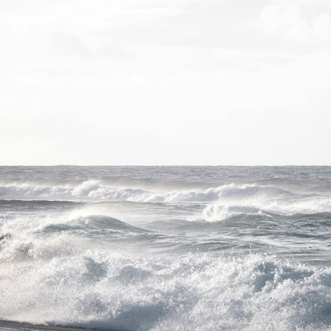 Diversity and Inclusion in Ocean Therapy