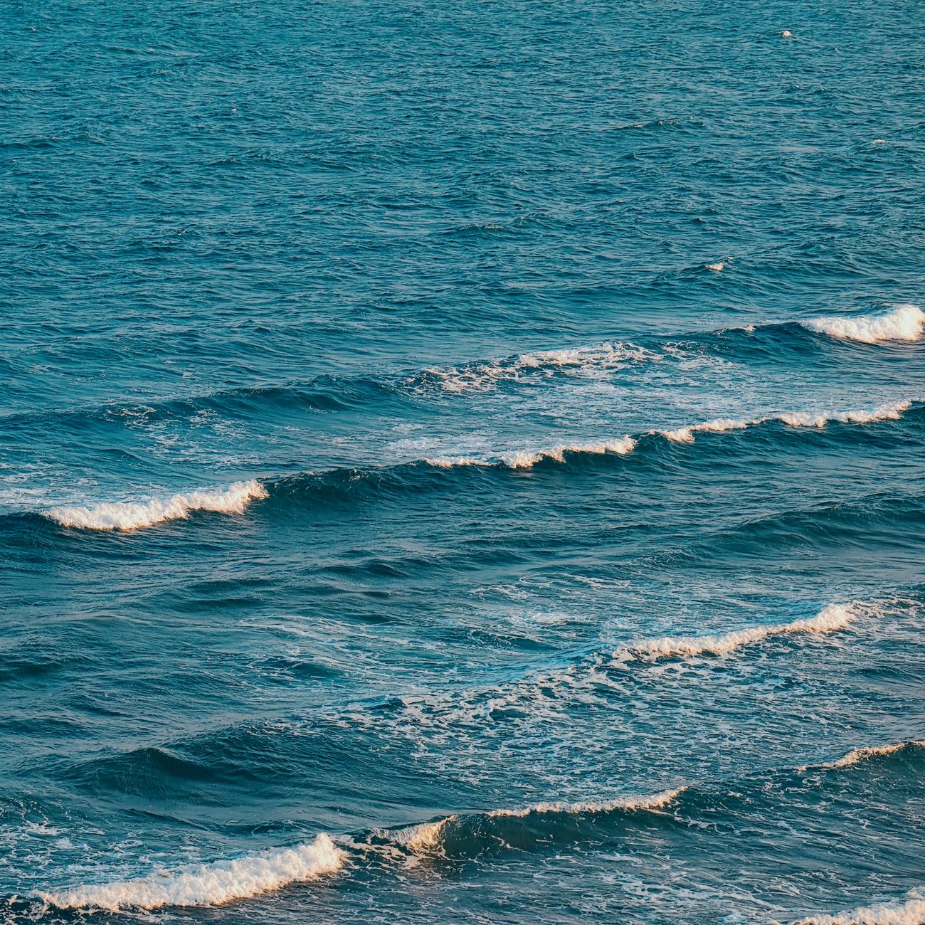 Program Development and Evaluation in Ocean Therapy