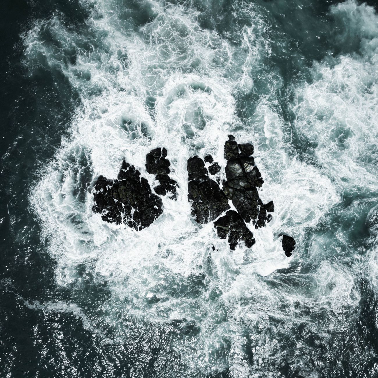 Professionalism in Ocean Therapy