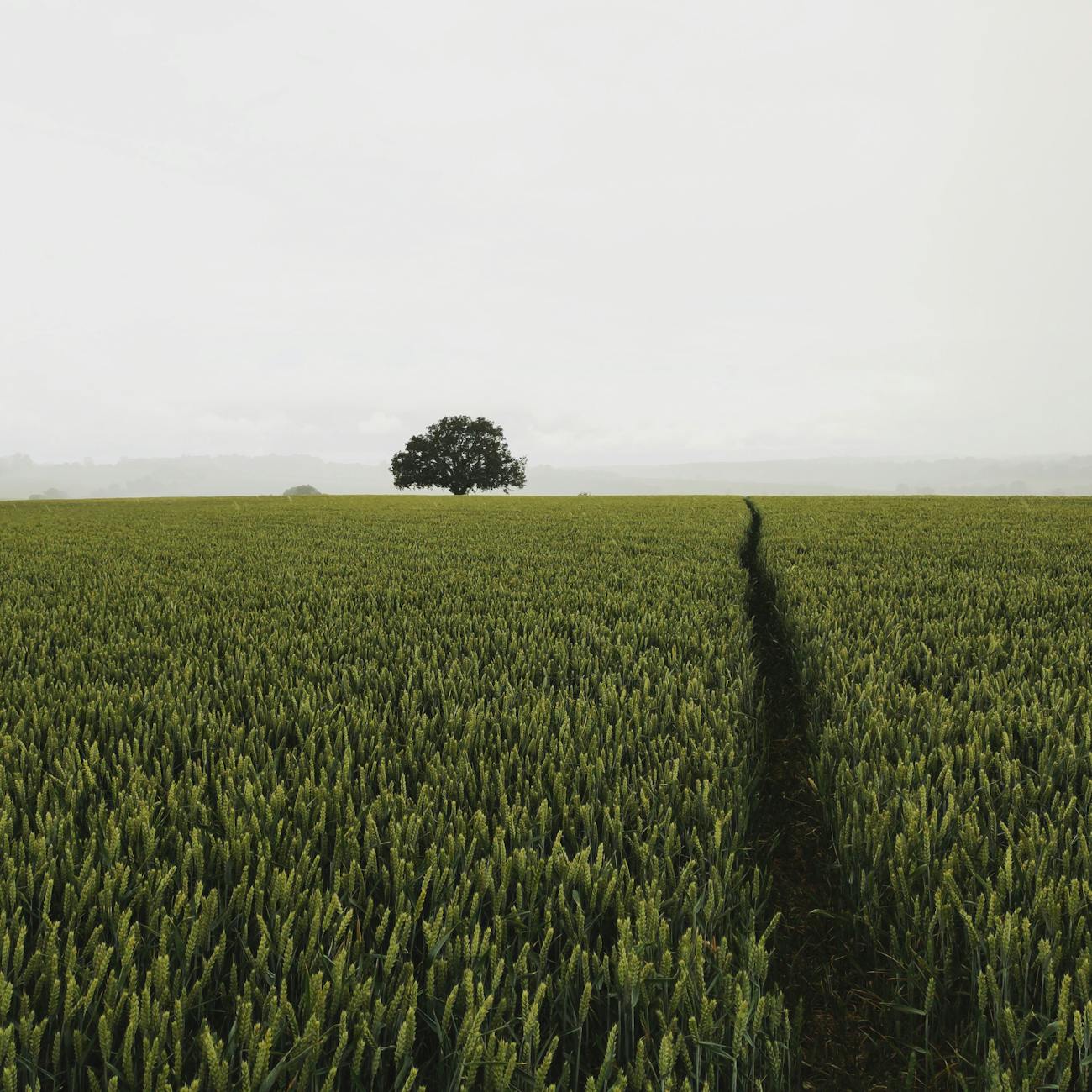Leading Teams in Agriculture Sector