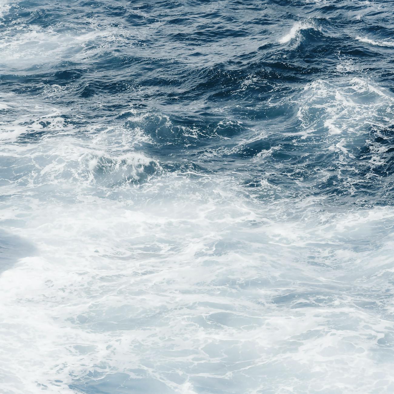 Legal Issues in Ocean Therapy
