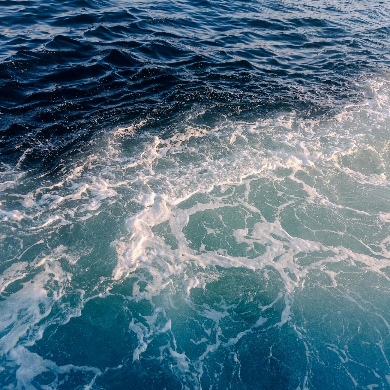 Safety and Risk Management in Ocean Therapy.