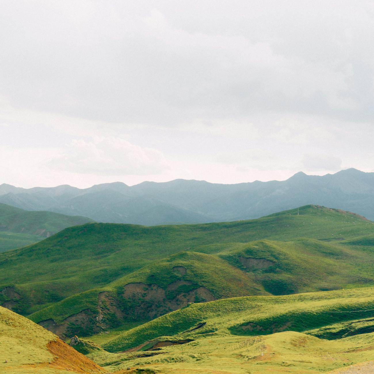 Unit Name: Legal and Regulatory Landscape for Startups