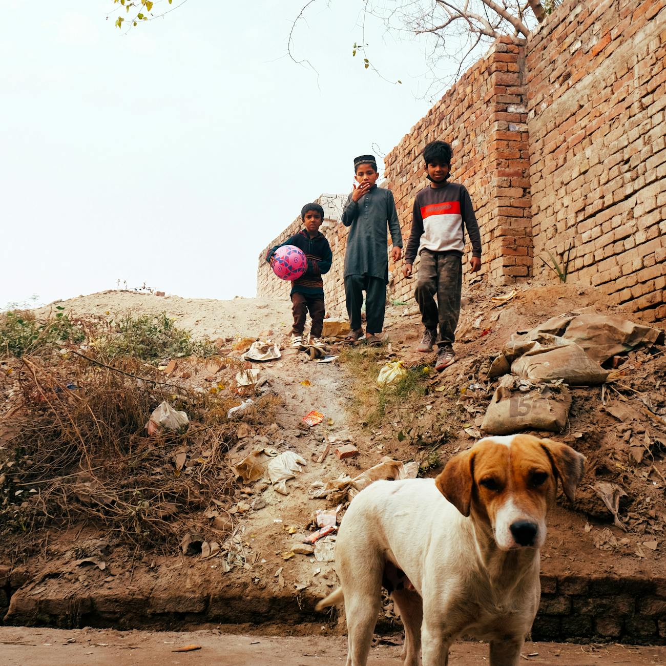 Humanitarian Crisis Management