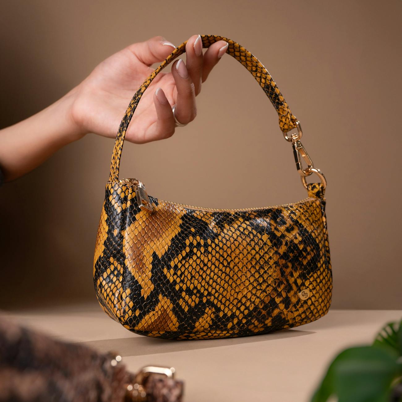 Handling Snakes in Public Settings