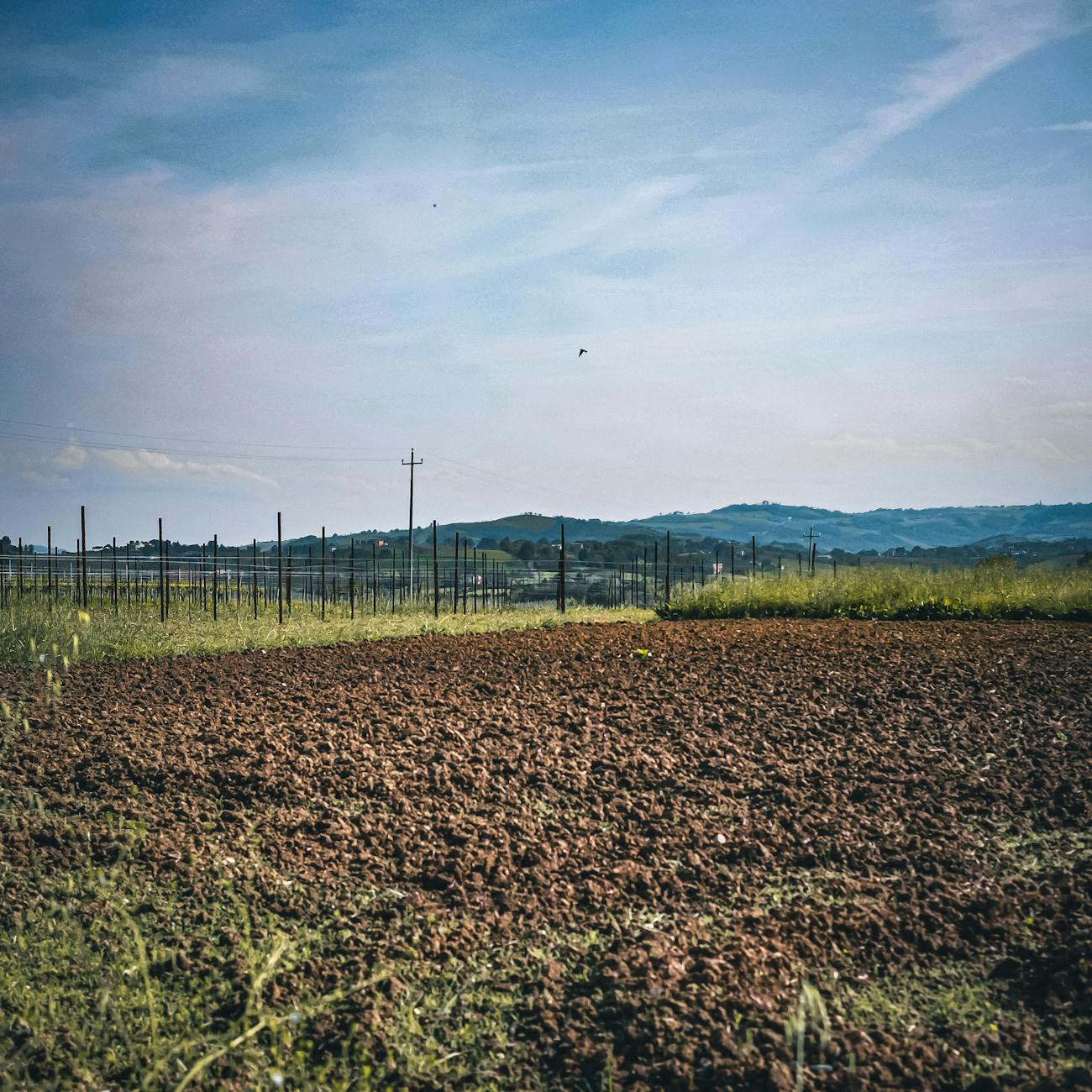 Soil Health and Nutrient Management