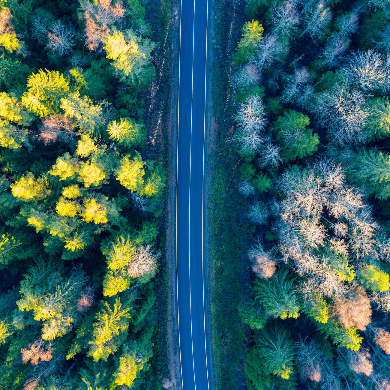 AI-Driven Marketing Automation