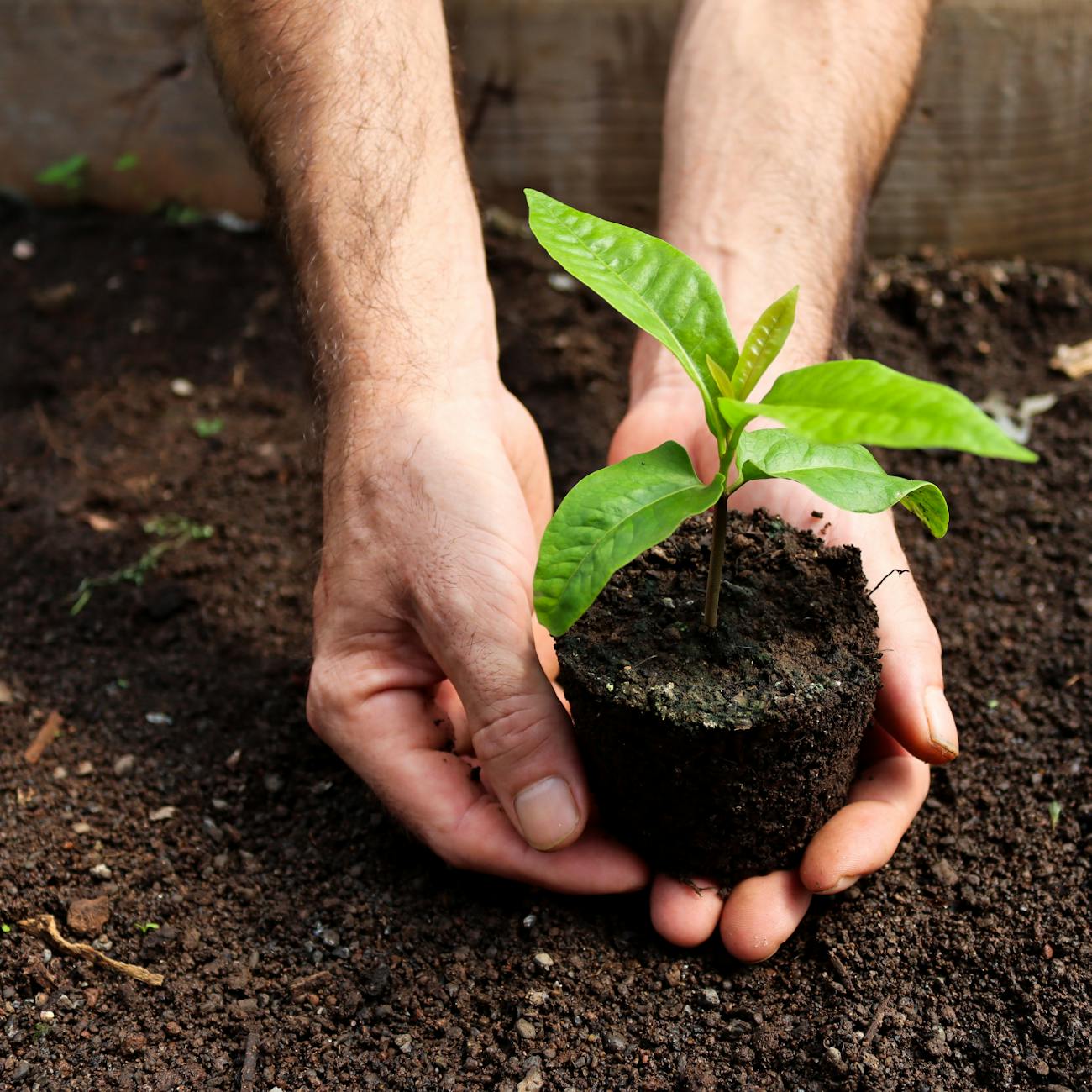 Waste Reduction Strategies