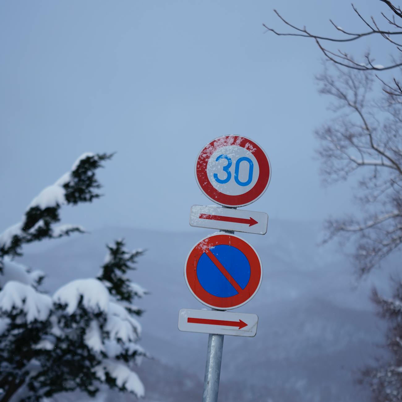 Ethical and Regulatory Considerations