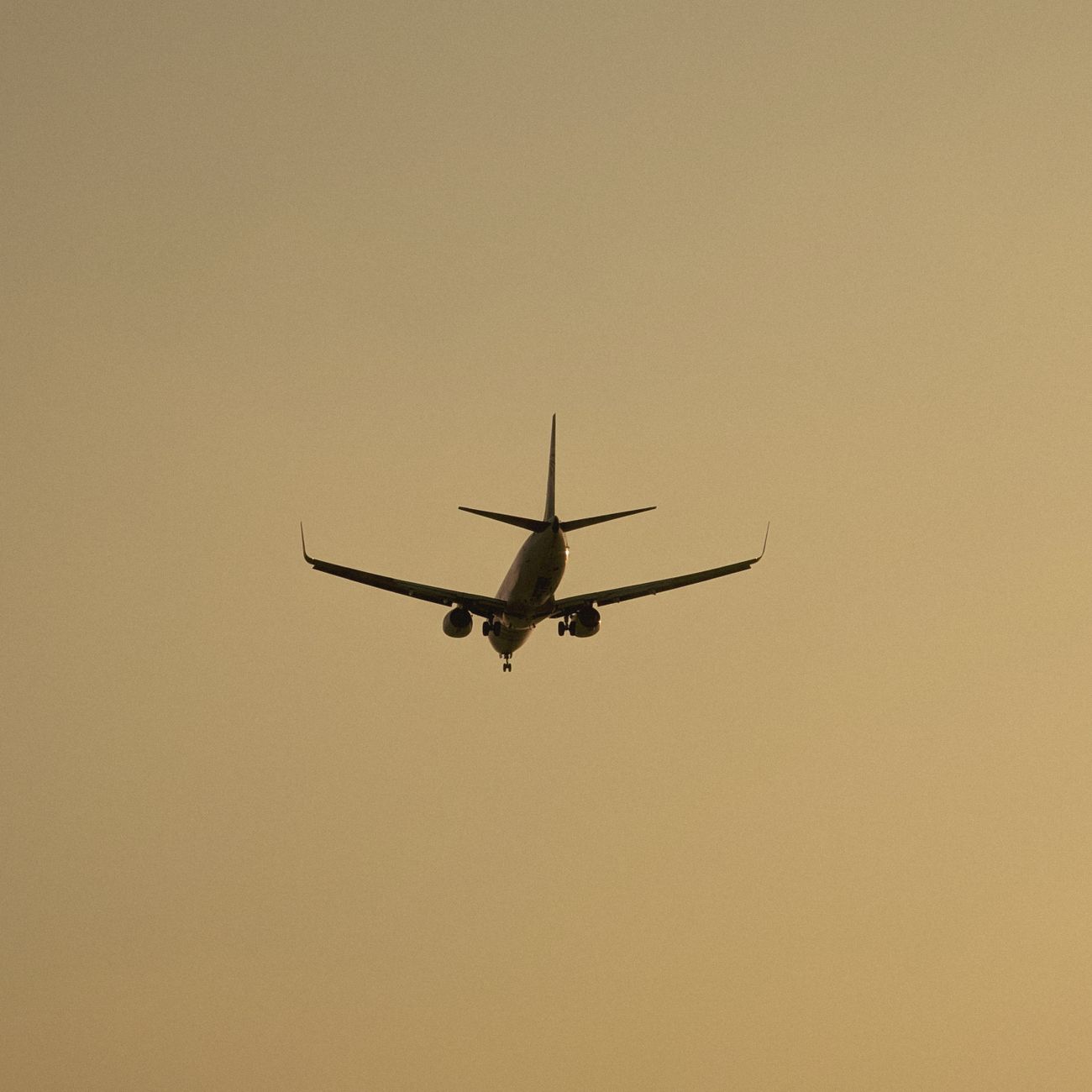 Aviation Industry Overview