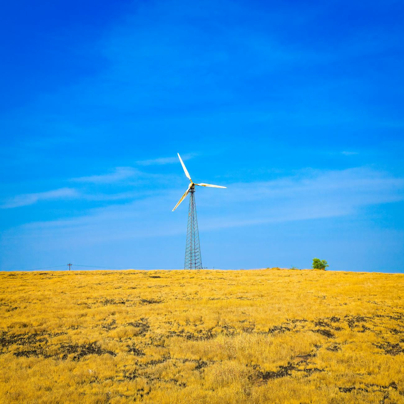 Advanced Biofuels Production