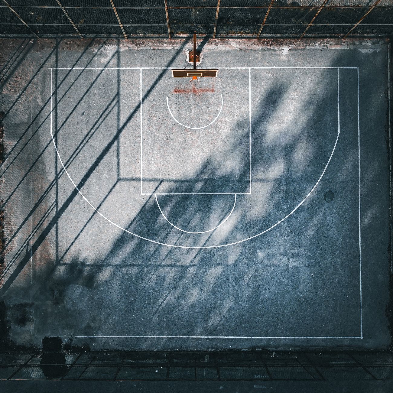 Foundations of Adapted Physical Education