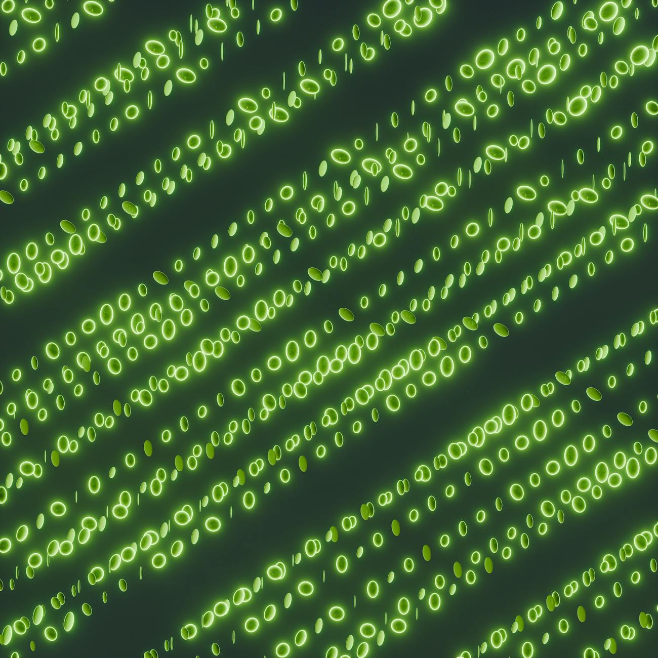 Laboratory Information Systems and Technology
