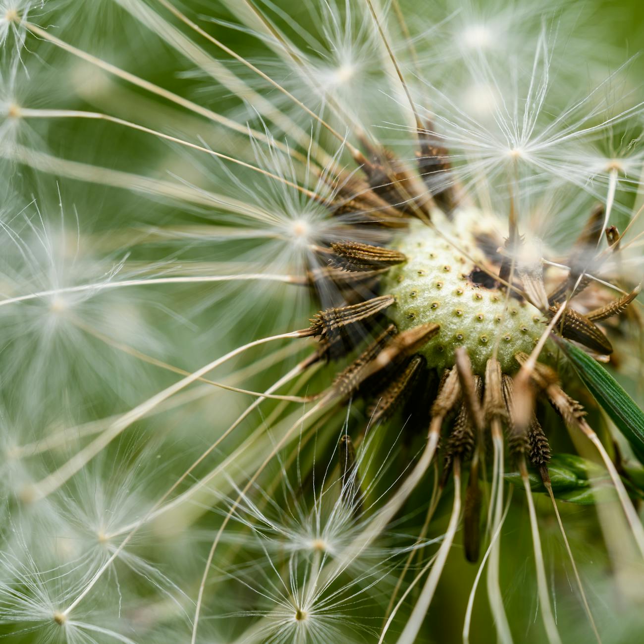 The Detoxification Pathways in Functional Medicine