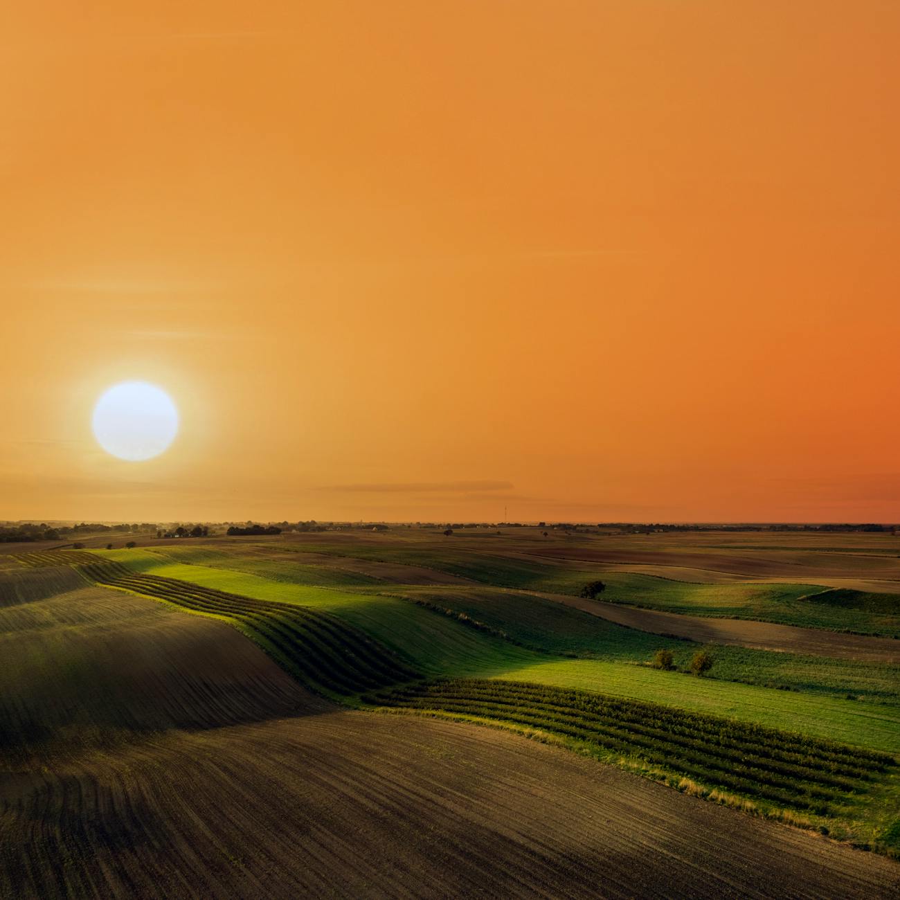 Geospatial Technologies for Sustainable Agriculture