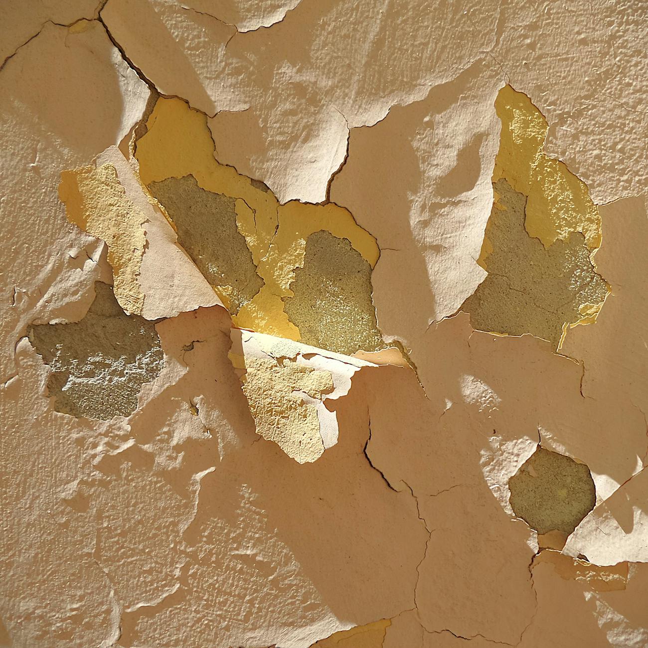 Art Conservation and Preservation
