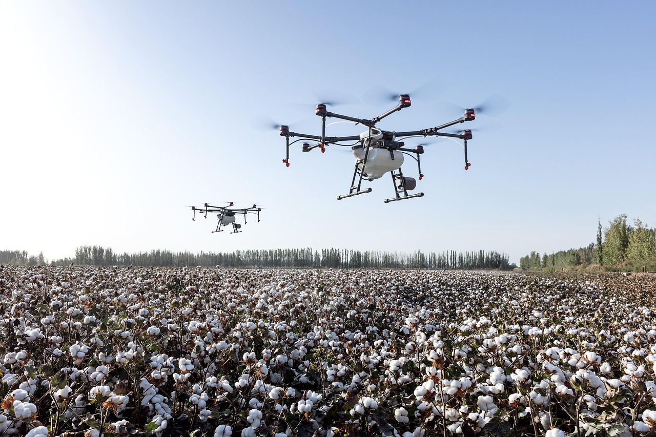 Air Traffic Control and Automation